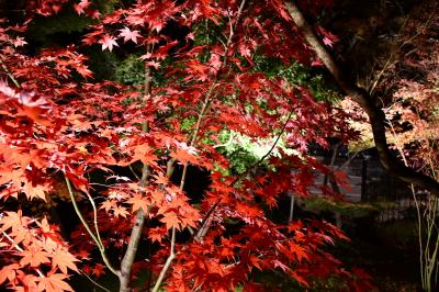 南禅寺さんも永観堂も、まだ紅葉は見頃