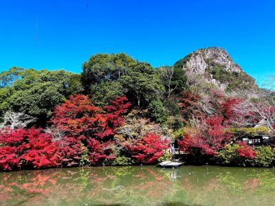 武雄温泉とらかんの湯