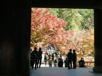 大阪いらっしゃいクーポンツアーお安く紅葉の京都へおけいん沿線編