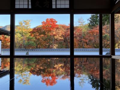 秋の床もみじ『宝徳寺』