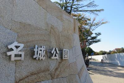 2022秋、名城公園のバラ(1/4)：バラ花壇、バレリーナ、スノー・グース、ラ・マリエ