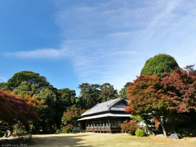 「つつじが岡第二公園」の紅葉と冬桜_2022_紅葉は未だ色付き初め、冬桜は咲き始めでした（館林市）