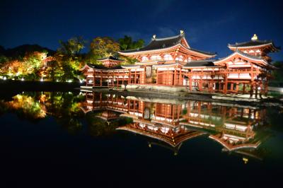 2022秋 紅葉の京都12社寺めぐり　日中はメジャーでない社寺へ