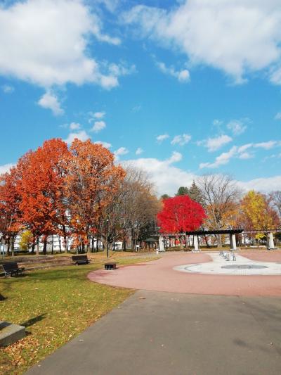 北海道道東の旅 2022年11月 その4 帯広編