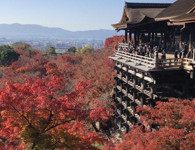 京都・奈良・兵庫・滋賀の１０の紅葉名所をワイドにめぐる⑥2日目の２　清水寺