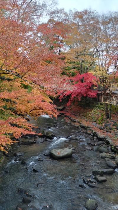 錦秋の伊豆、天城越えの旅