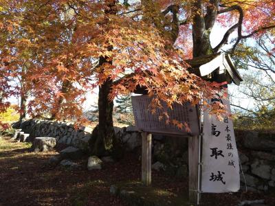 紅葉真っ盛りの高取山とったどー！