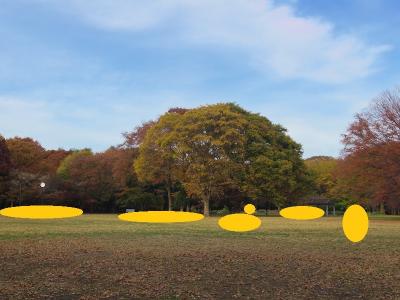 木枯らしに抱かれて 晩秋の紅葉見物 2/2 代々木公園