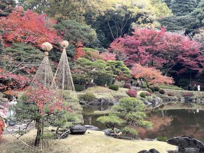 歩いて楽しむ東京の秋   東洋文庫　六義園　旧古河庭園