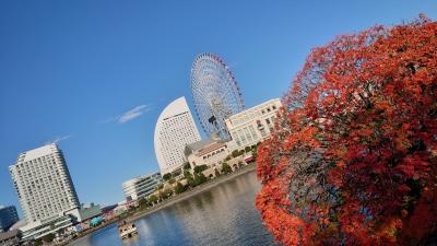 晩秋の横浜散歩: みなとみらい編