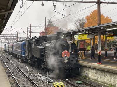 秋の関東乗り鉄たび、その６（日光社寺巡りとSL）