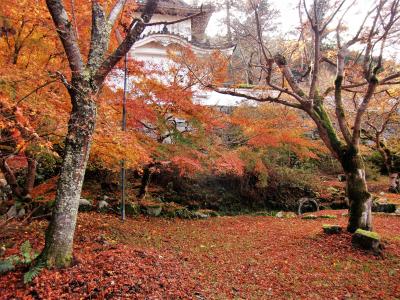 豊岡・出石　ひょうごを旅しようキャンペーンで晩秋の但馬路をぶらぶらドライブ旅