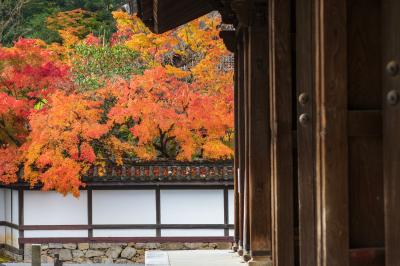 密やかに愉しむ 京の秋