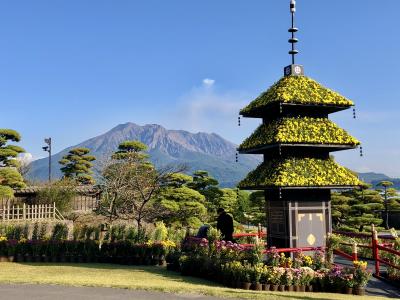 2022 過去をアップデートする鹿児島の旅