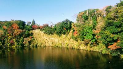    千葉日帰りハイキング・亀山湖～三石観音寺～濃溝の滝