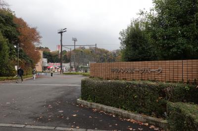 キヤノンスポーツパーク初訪問、イーグルス対ヴェルブリッツの練習試合観戦……ビールぐびぐび!ありません