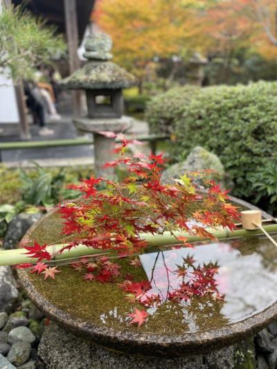紅葉まっさかりの京都