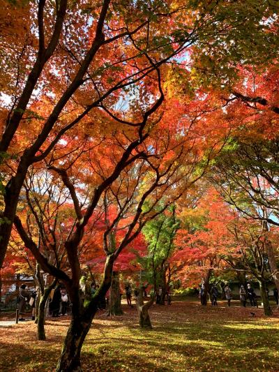 紅葉の京都・姉妹旅【Part1】東福寺・伏見稲荷大社