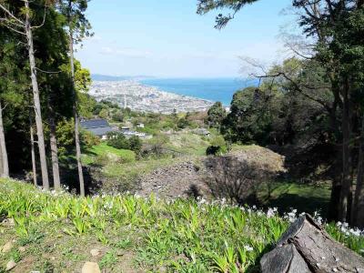 小田原の石垣山一夜城を登城しました。