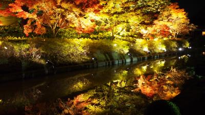 京都の紅葉2022（その1）