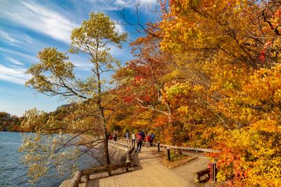 八甲田/十和田湖/奥入瀬ぐるり旅【9】~オレンジ色に染まる湖畔~十和田湖(紅葉)