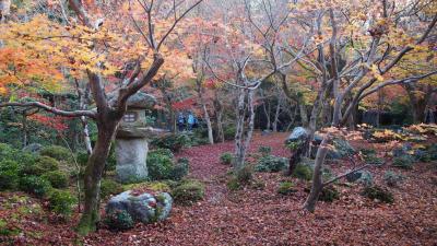 京都の紅葉2022（その2）