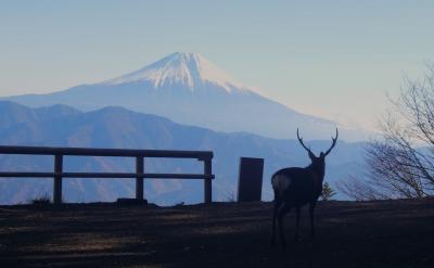 聖地・七面山で悟った・・・様な気がした。七面山へ急げ！