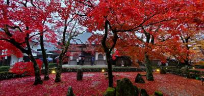 2022年11月　湖東三山・永源寺　雨の紅葉日帰りバスツアー