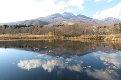 信州へリンゴを買いに