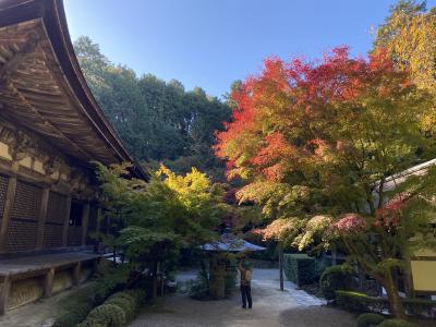 全国旅行支援で湖東三山巡り