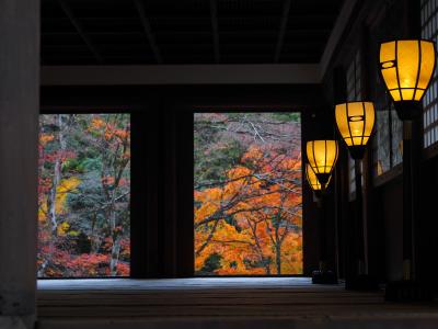紅葉最盛期の京都　嵯峨野を巡る