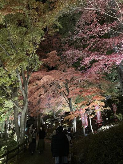 紅葉を探して東海地方+滋賀(その1)