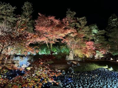 京都・嵐山の紅葉めぐり（２）　～宝厳院のライトアップ～