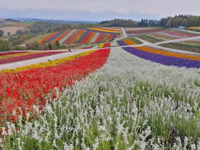 おばちゃま女子旅2022 美味しい物を食べるわよ~♪