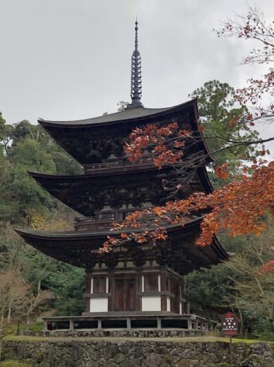 京都・奈良・兵庫・滋賀の１０の紅葉名所をワイドにめぐる⑯4日目の3 西明寺