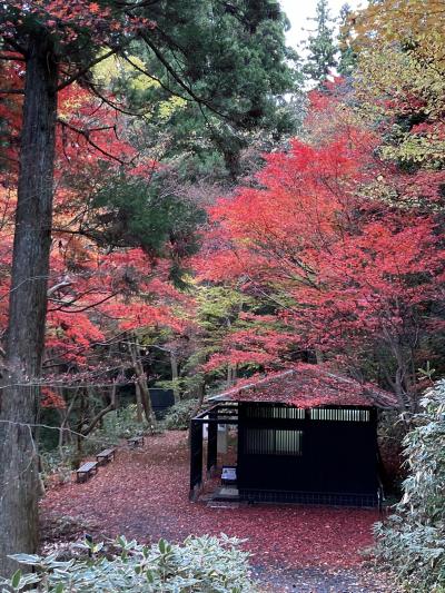 紅葉と日本酒の新潟の旅、後半。