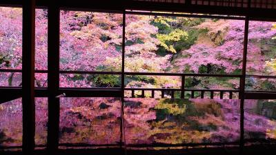 紅葉を求めて京都～奈良～滋賀  ２日目 万華鏡の様な紅葉 瑠璃光院