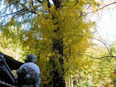 山鹿・玉名 紅葉旅（前編） ～康平寺の銀杏～