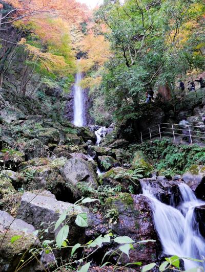 ■ 紅葉狩り　養老の滝・南濃温泉「水晶の湯」を巡る旅
