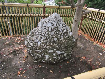 師岡熊野神社のさざれ石（横浜市港北区師岡町）