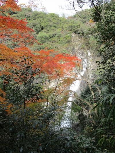 都会の秘境駅　新神戸の布引の滝