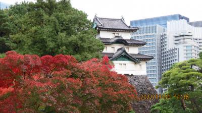 皇居・乾通りを歩きました①富士見櫓付近まで