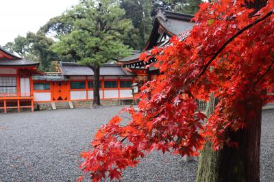 紅葉・紅黄の京都②（１日目後半）☆吉田神社☆末廣☆2022/11/23