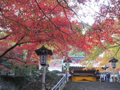 大雄山最乗寺の紅葉☆
