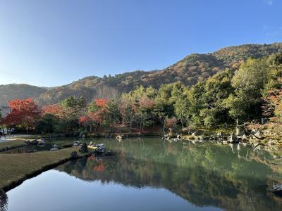 京都・嵐山の紅葉めぐり（３）　～天龍寺、保津峡下り、東寺～