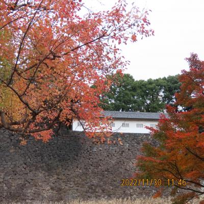 皇居-乾通りを歩きました②富士見櫓付近～道灌濠付近迄