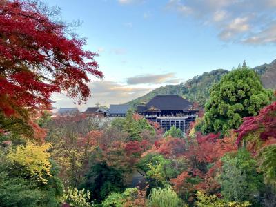 秋の神戸＆京都.｡.:*☆ 京都の紅葉ホッピング♪ 先ずは清水寺～平安神宮までの東山.。o○　早朝スタート3日目前編(*^^)v