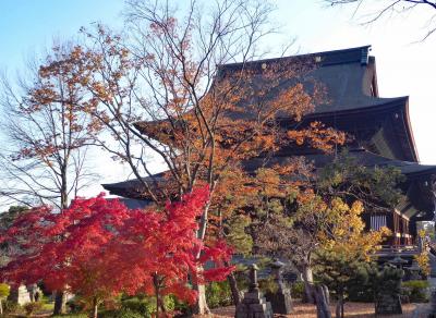 紅葉が盛りの善光寺を詣でる