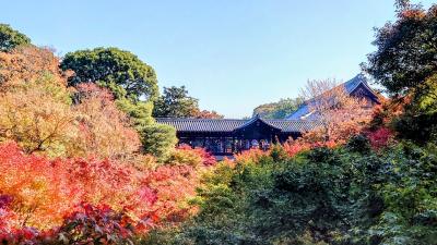 全国旅行支援を利用して京都紅葉巡り　東福寺とフェリー編