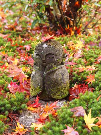 ★兵･京･阪･奈★ 近畿4県5泊6日の旅 ④ 京都編-2. 錦秋の八瀬周辺を歩く